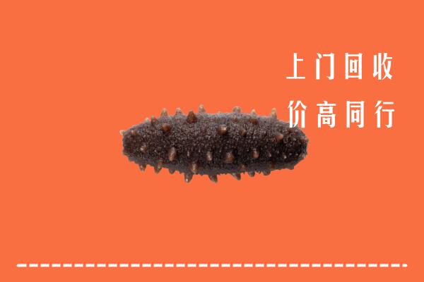 通道县回收海参