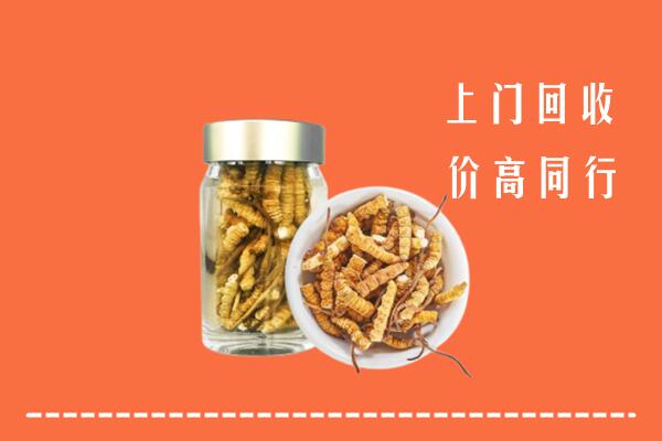 通道县回收冬虫夏草